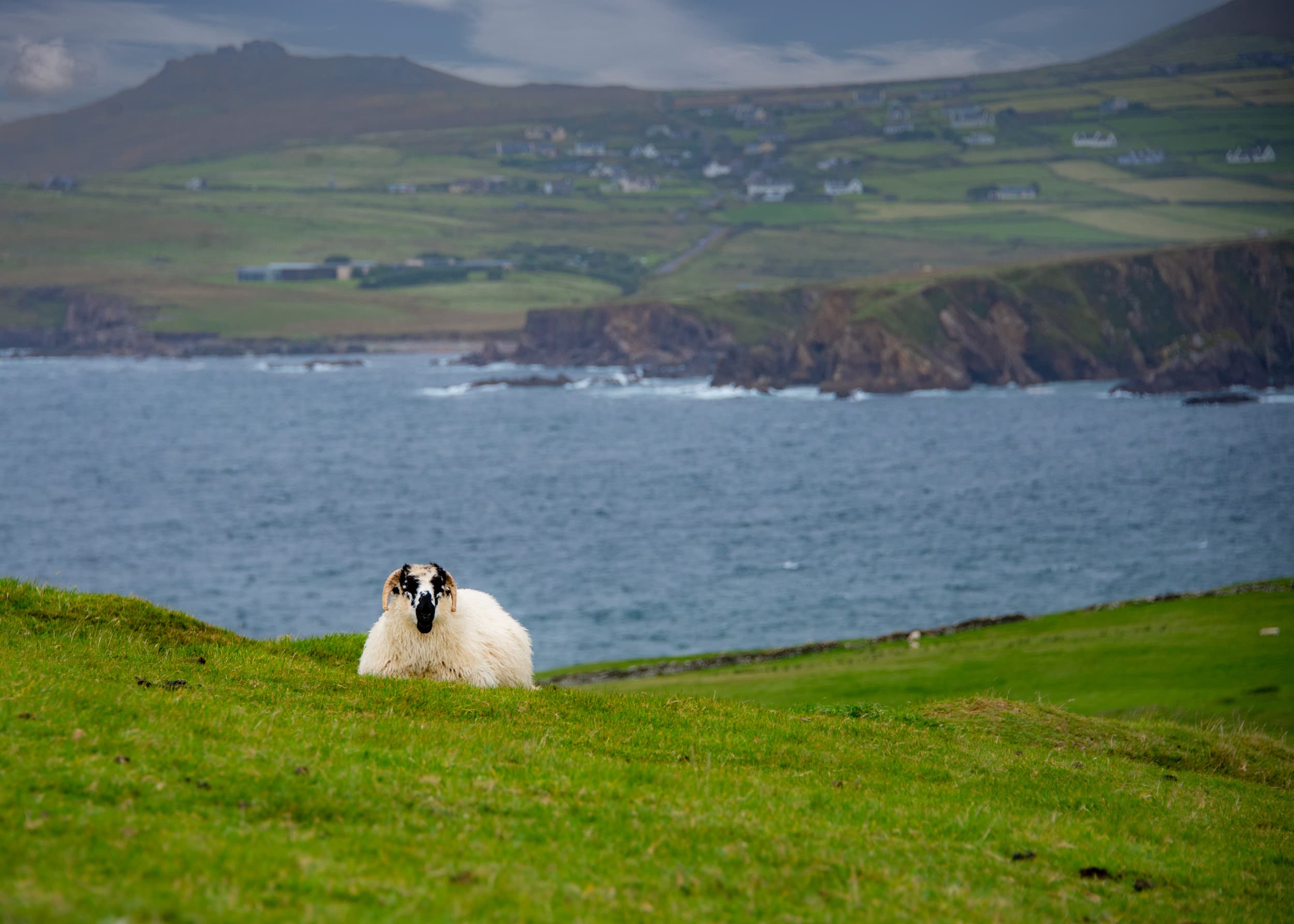 Dunmore Head on the Dingle Peninsula, Ireland
