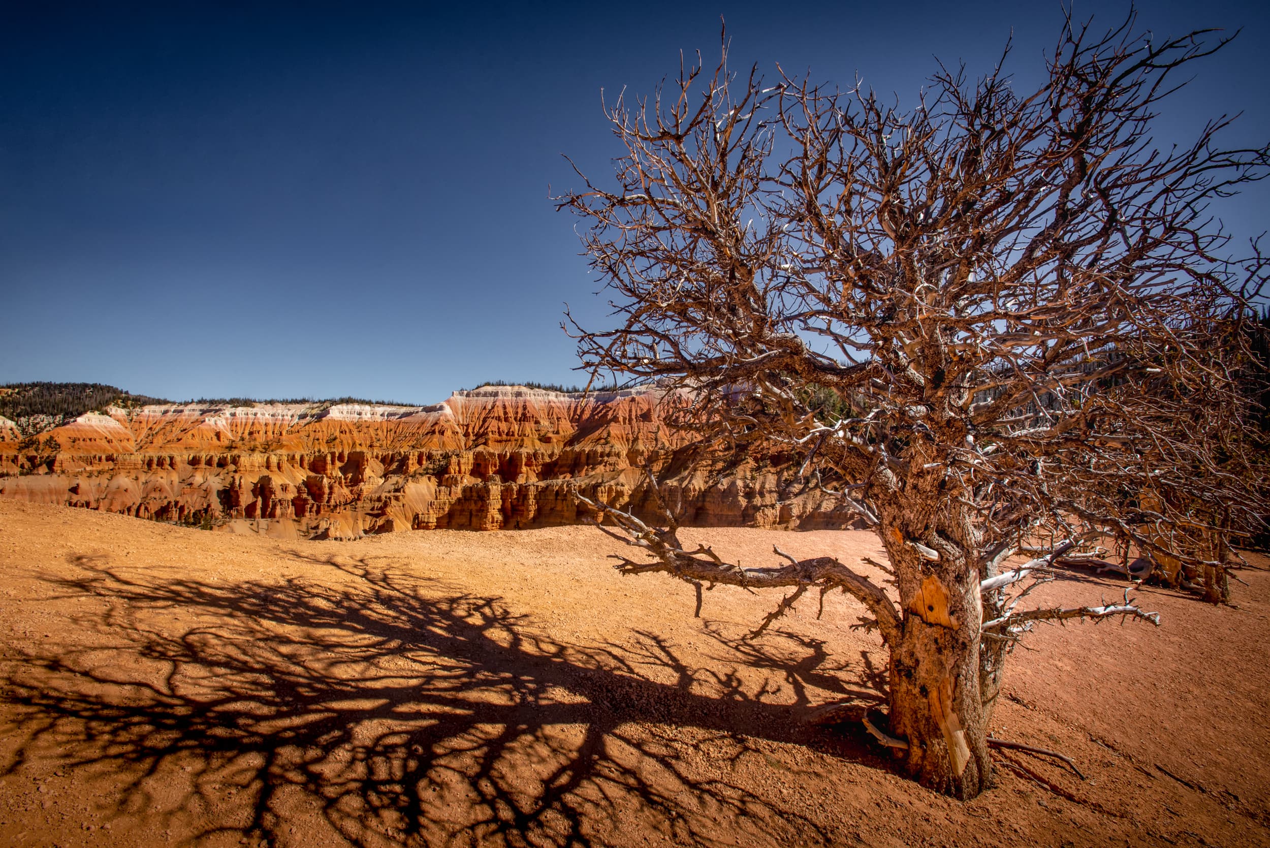 Photograph from the fine art print gallery collection (1)