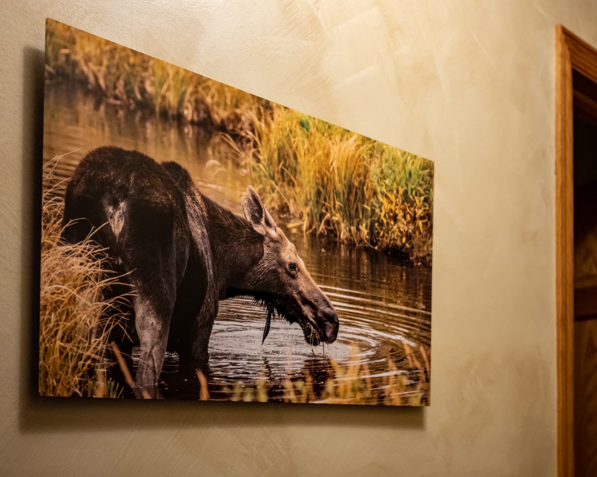 Photograph from the fine art print gallery collection (19)