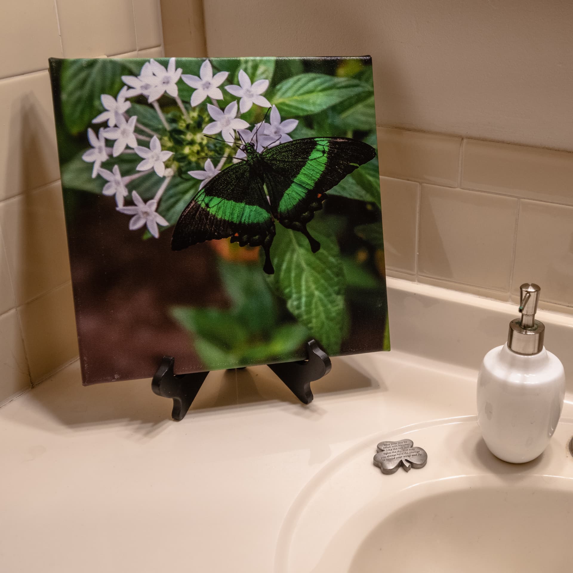 Photograph from the fine art print gallery collection (20)