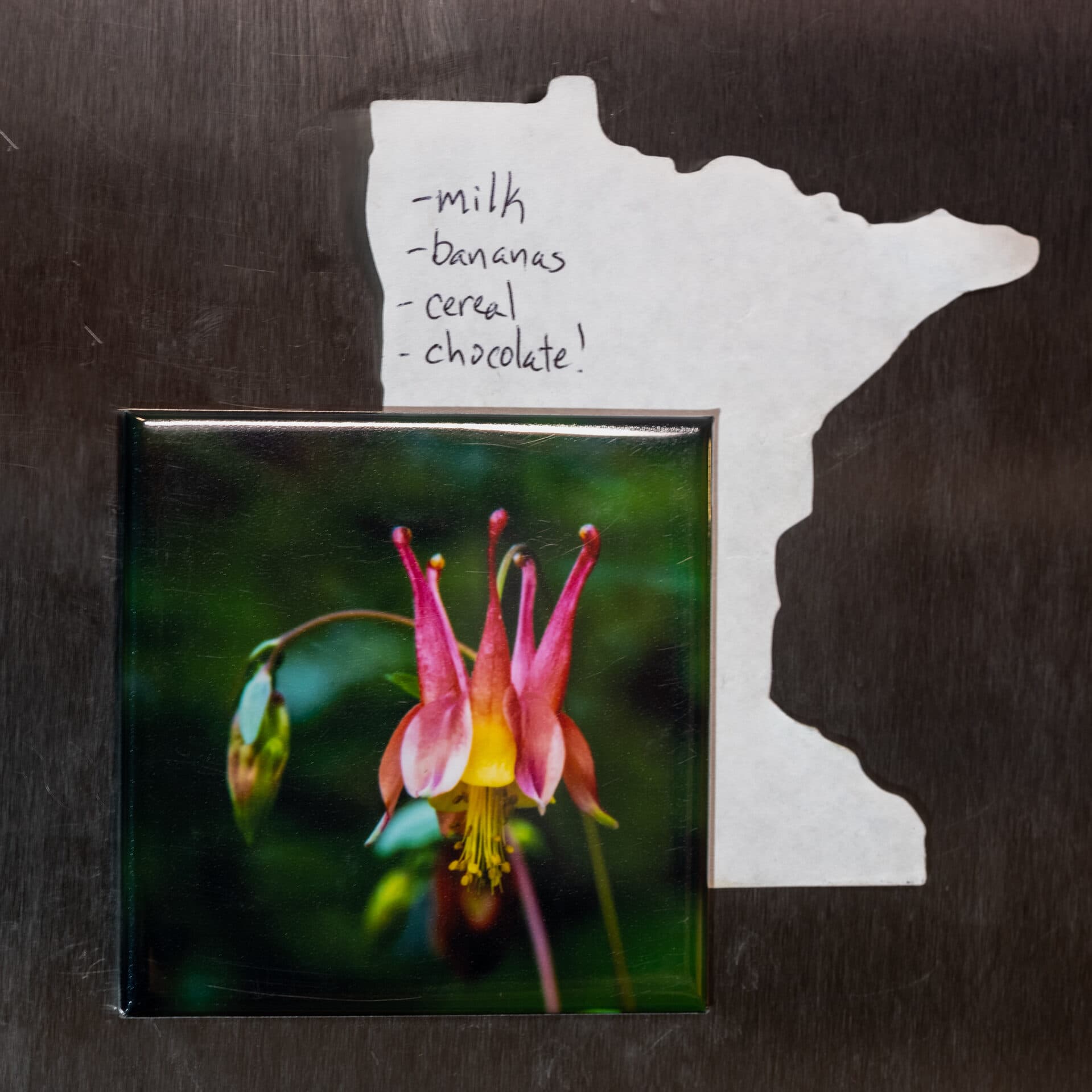 Photograph from the Nielsen Photography homepage collection (8)