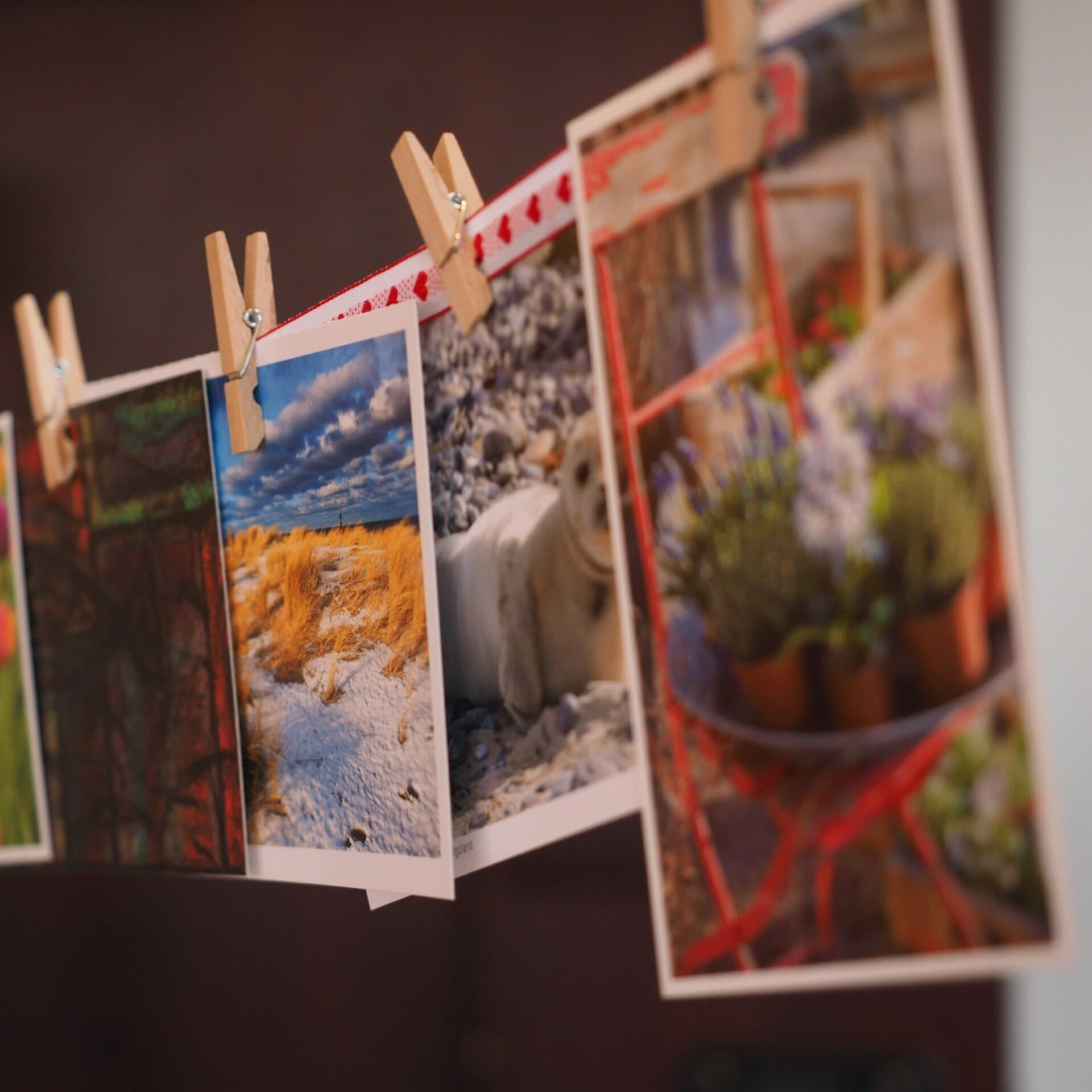Photograph from the Nielsen Photography homepage collection (14)